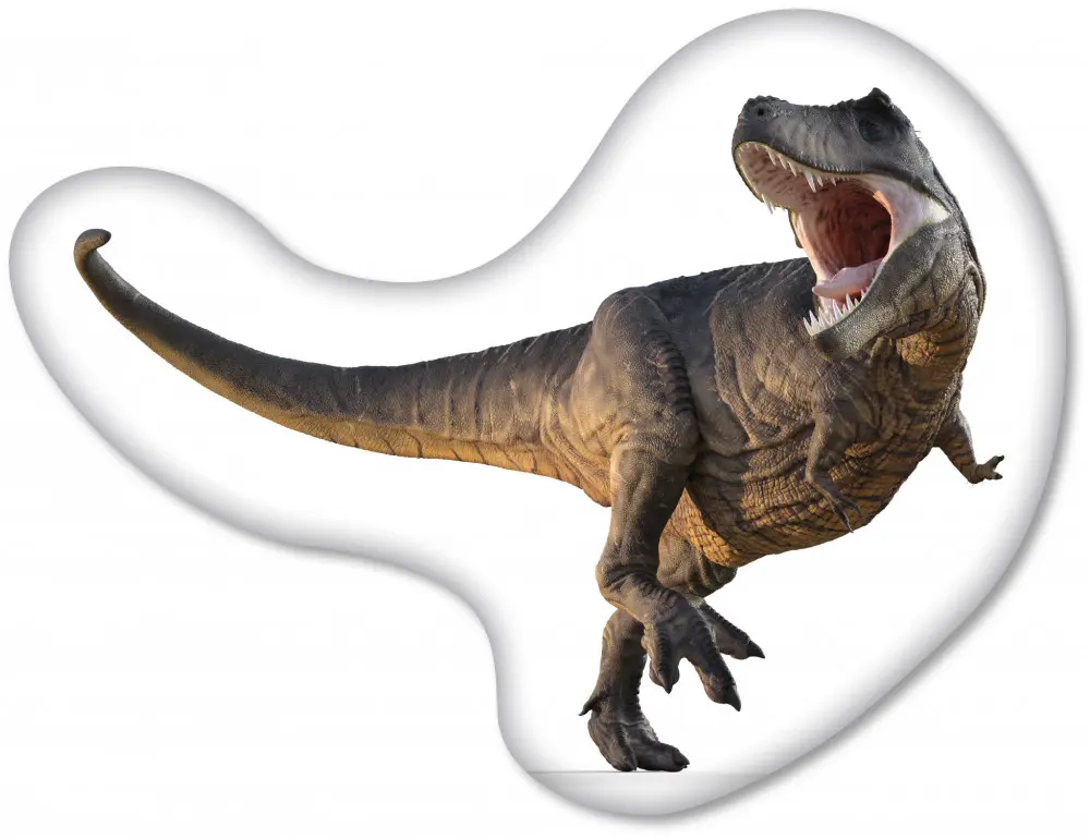 Dinosaur tvarovaný polštář, dekorativní polštář 37*28 cm fotografii produktu