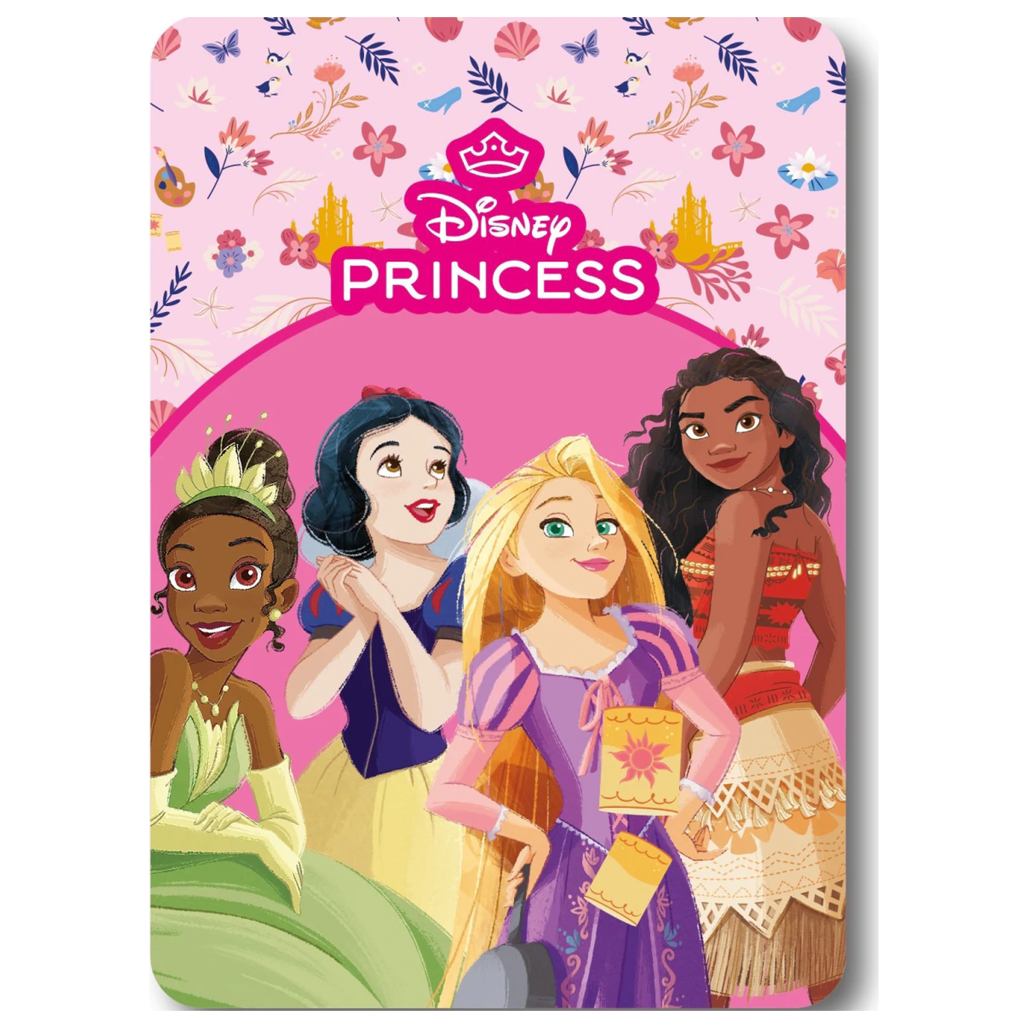 Disney Princess Fairy Tale fleecová deka fotografii produktu