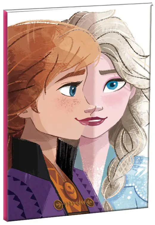 Disney Frozen B/5 linkovaný zápisník 40 stran fotografii produktu