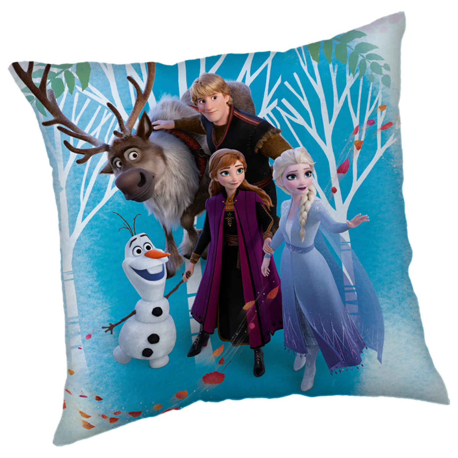 Disney Frozen Rodinný povlak na polštář fotografii produktu