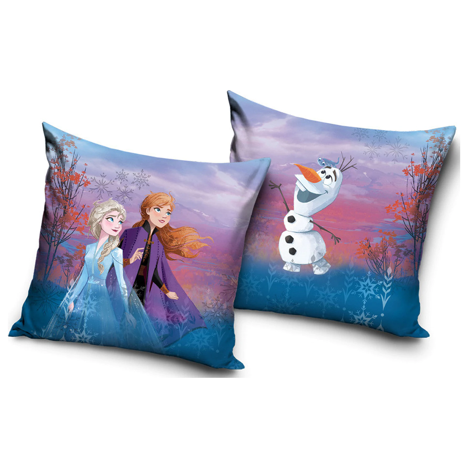 Disney Frozen Into the Unknown povlak na polštář fotografii produktu