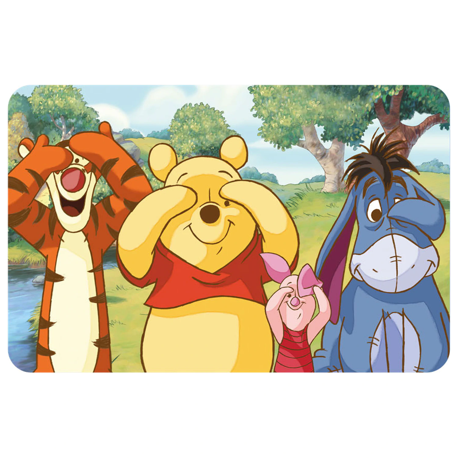 Disney Winnie the Pooh Peekaboo Prostírání 43x28 cm fotografii produktu