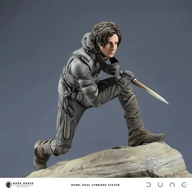 Dune Statue Paul Atreides 22 cm fotografii produktu