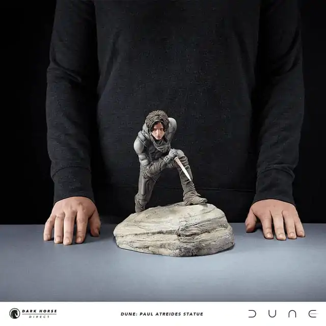 Dune Statue Paul Atreides 22 cm fotografii produktu