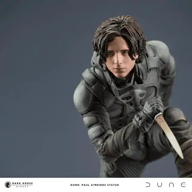 Dune Statue Paul Atreides 22 cm fotografii produktu