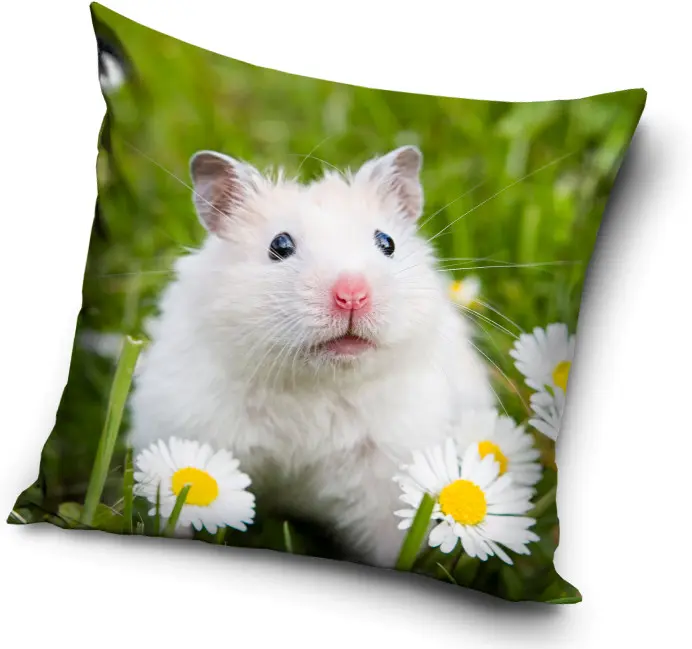 Potah na polštář Mouse 40x40 cm fotografii produktu