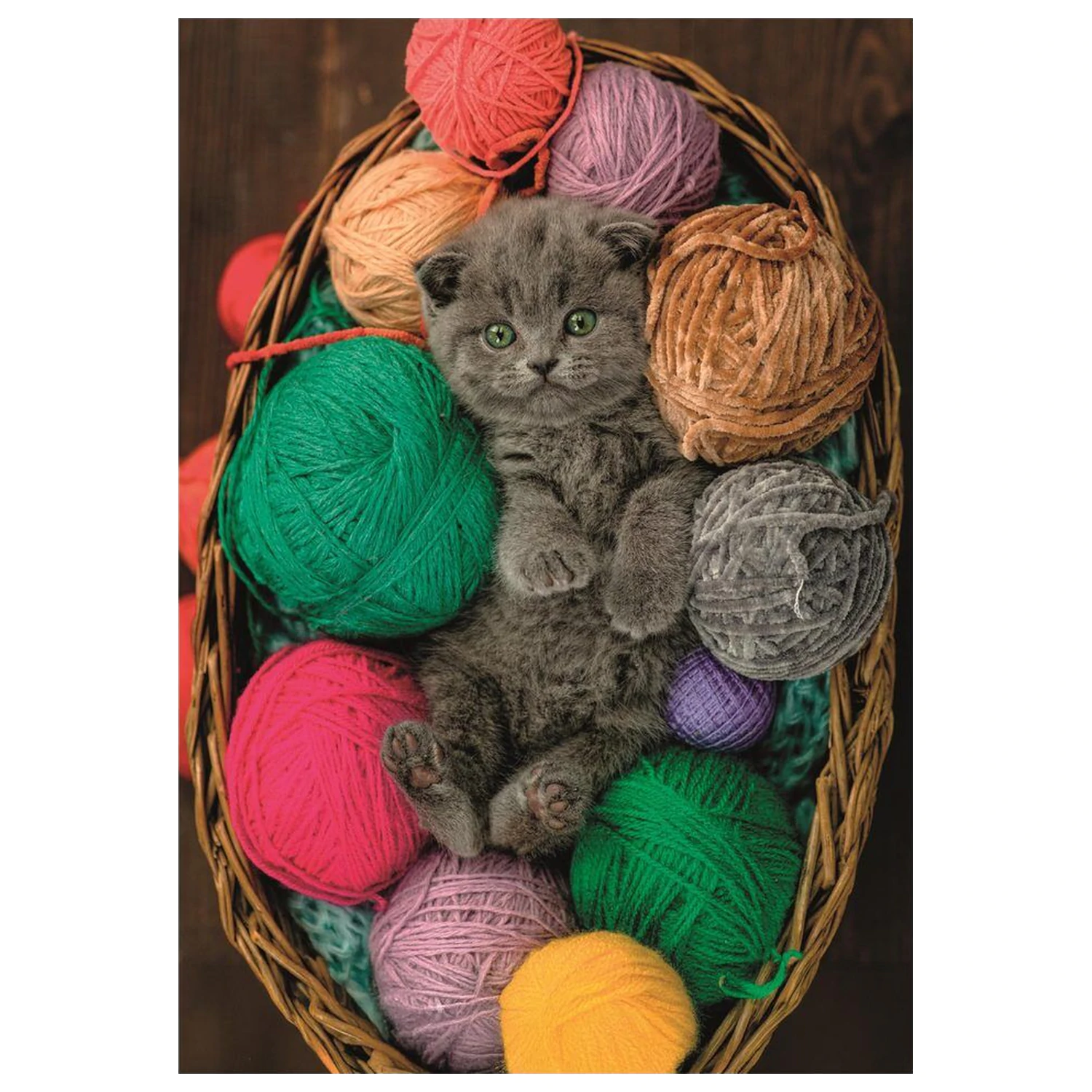 Fluffy Kitten puzzle 500 kusů fotografii produktu