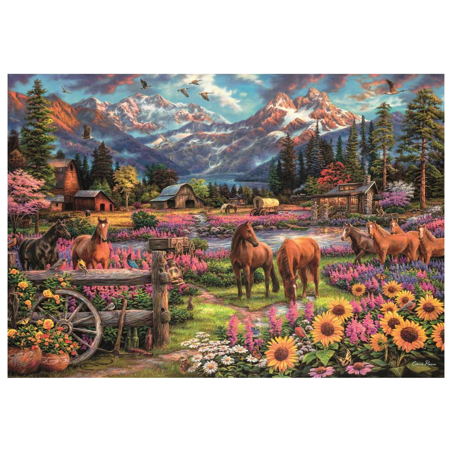 Free To Roam puzzle 3000 kusů fotografii produktu