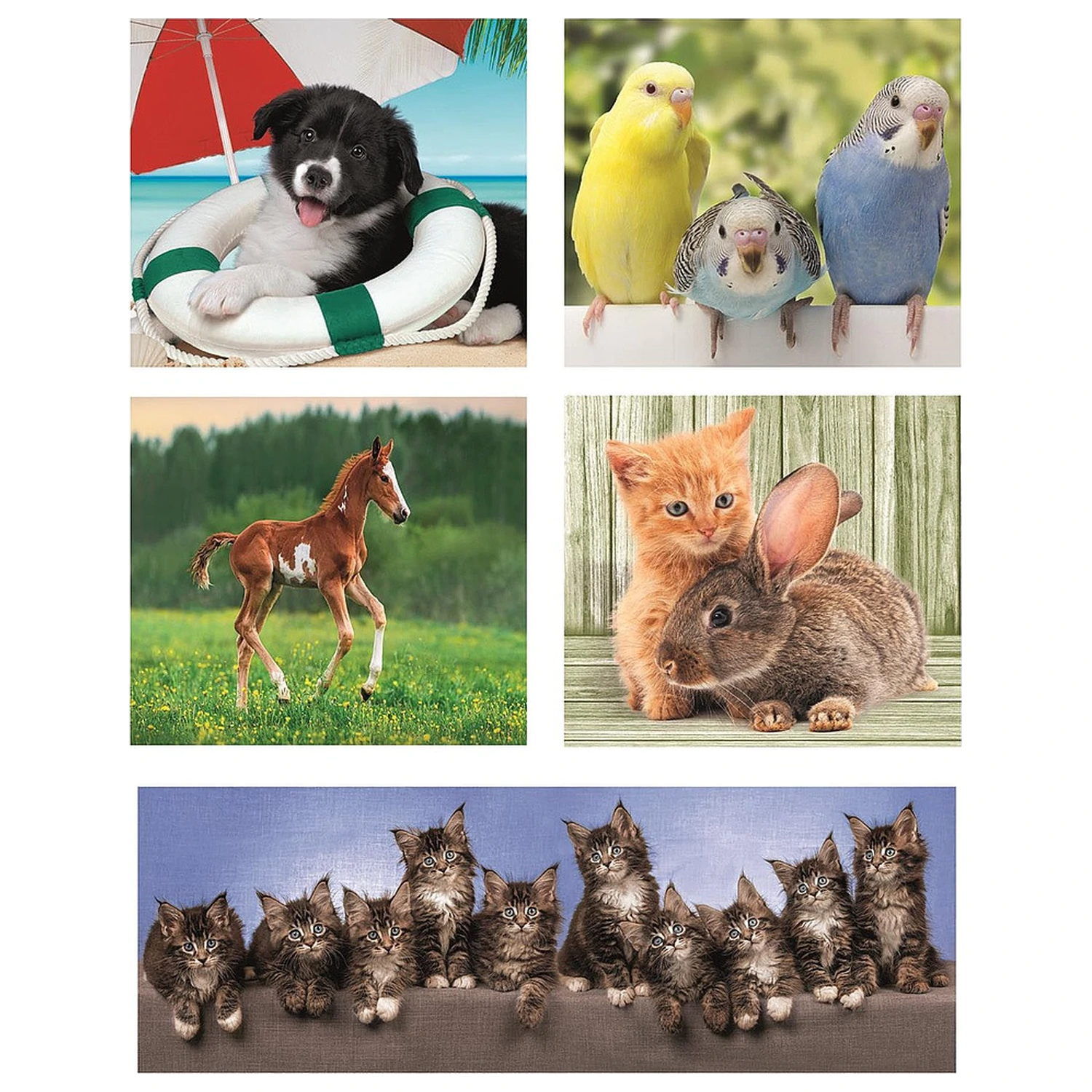 Friends 10-v-1 puzzle Clementoni fotografii produktu