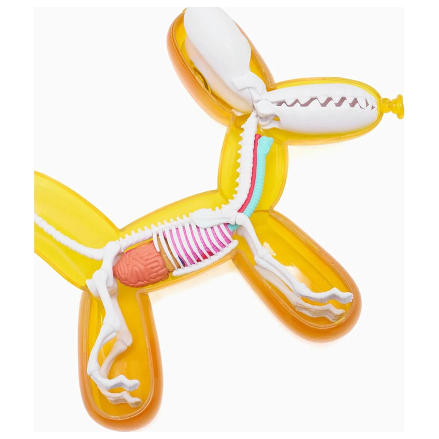 Funny Anatomy Honey Edition socha balónového psa fotografii produktu