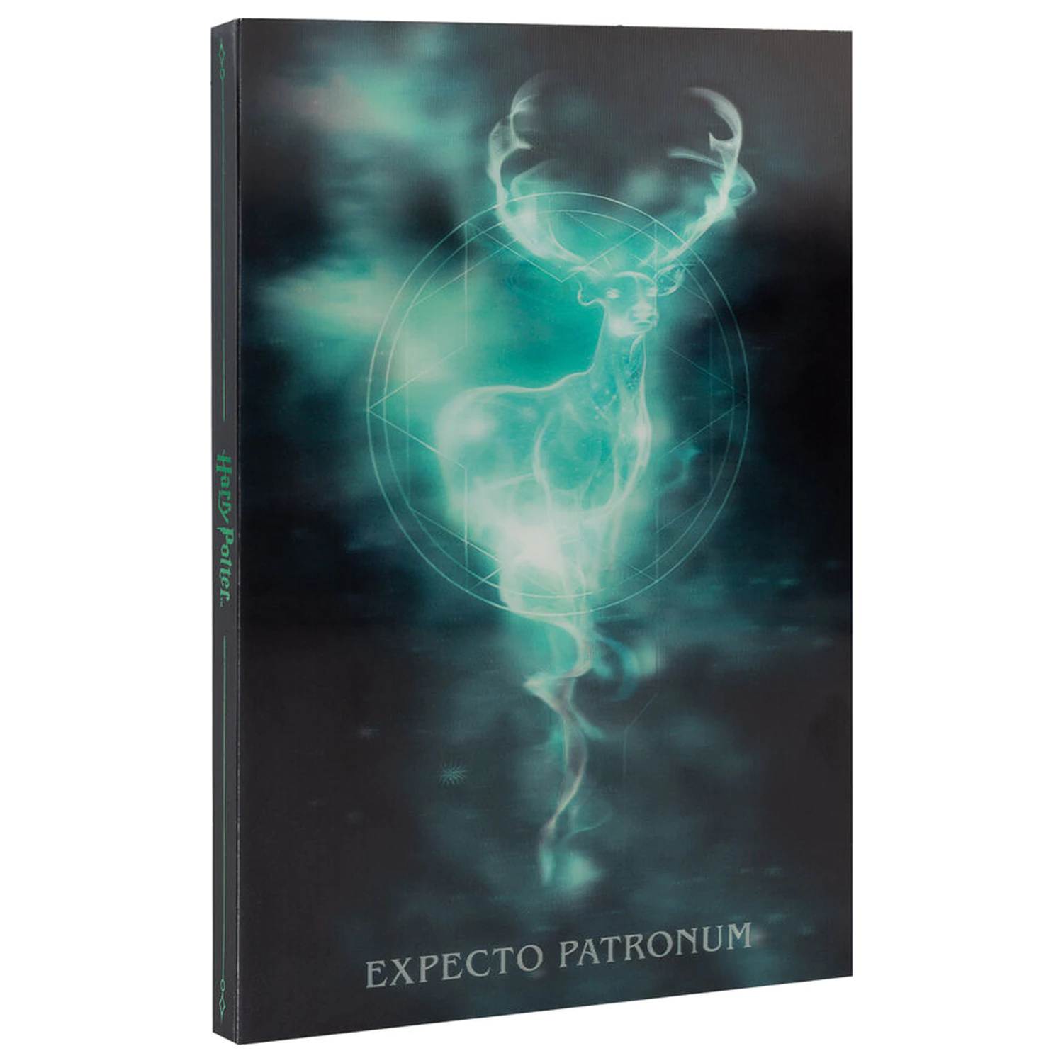 Harry Potter A5 Lentikulární sešit fotografii produktu