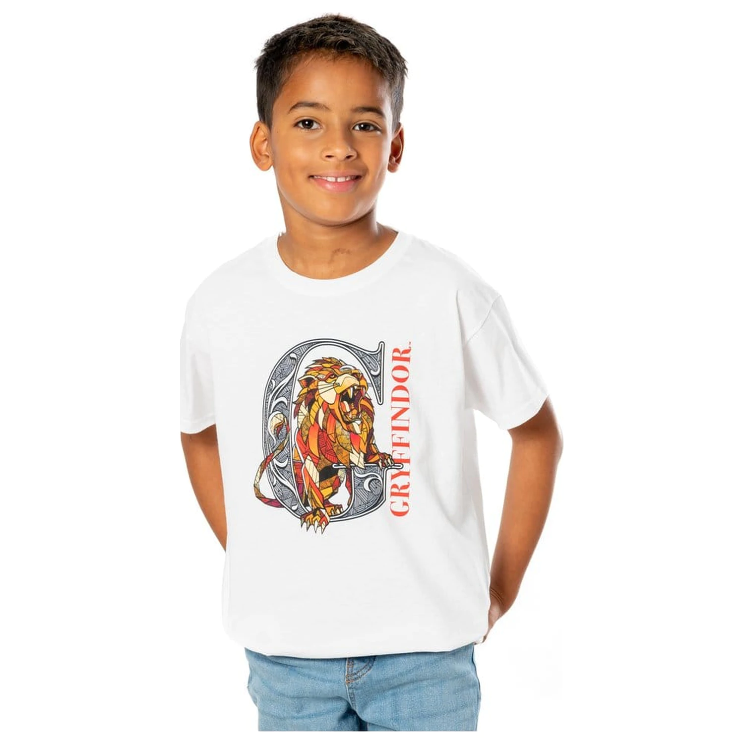 Harry Potter Dětské tričko Gryffindor Mosaic Velikost 9-11 fotografii produktu