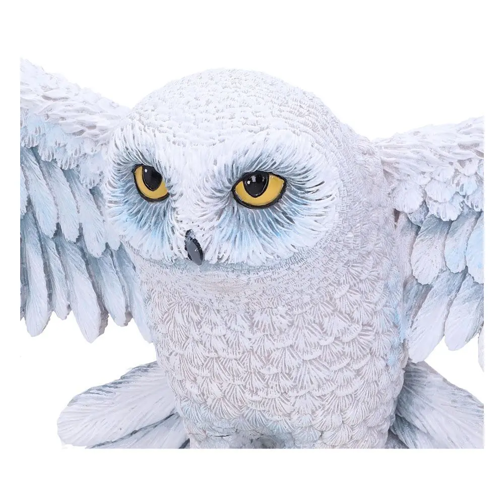 Harry Potter Nástěnná plaketa Hedwig 45 cm fotografii produktu