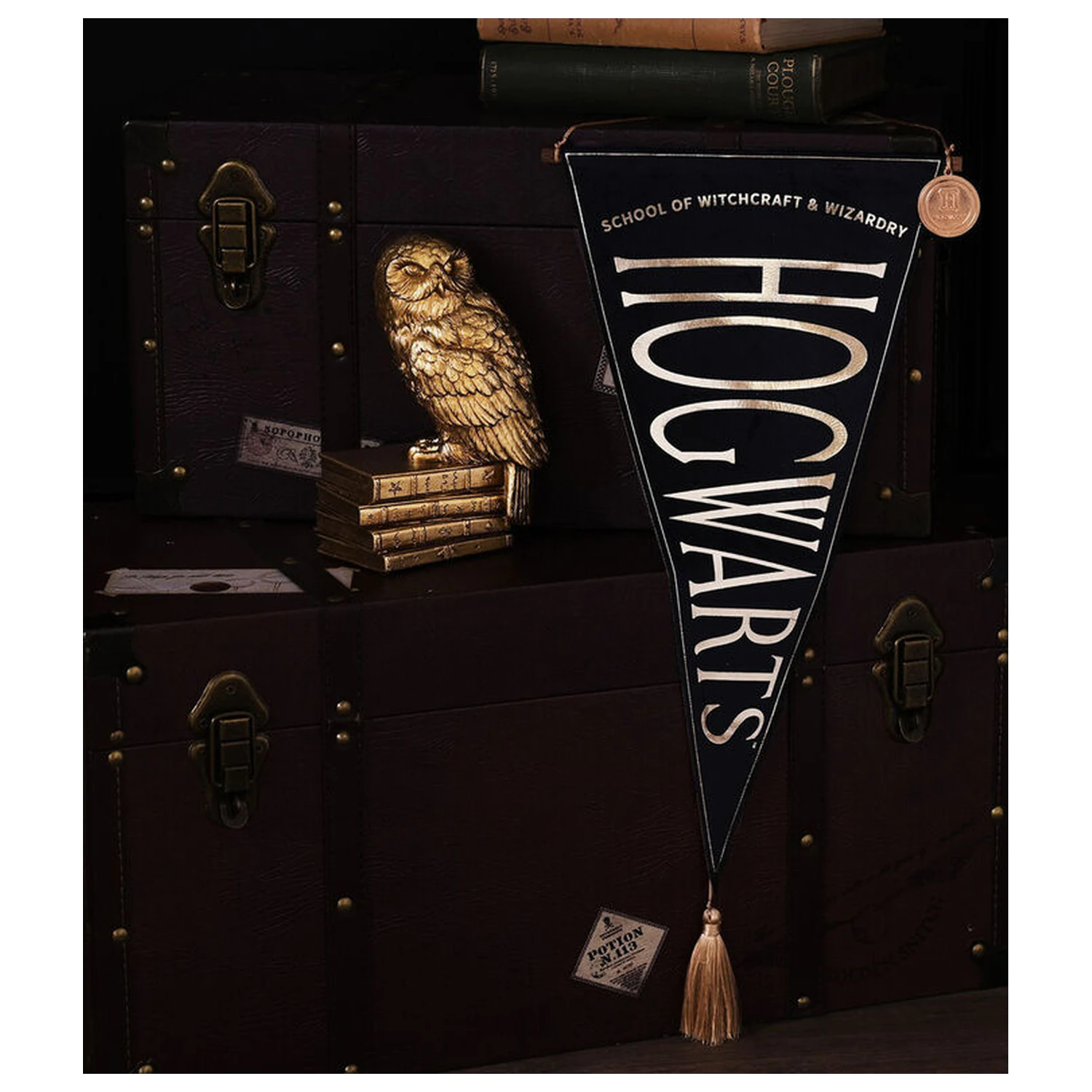 Harry Potter Hogwarts závěsný banner fotografii produktu