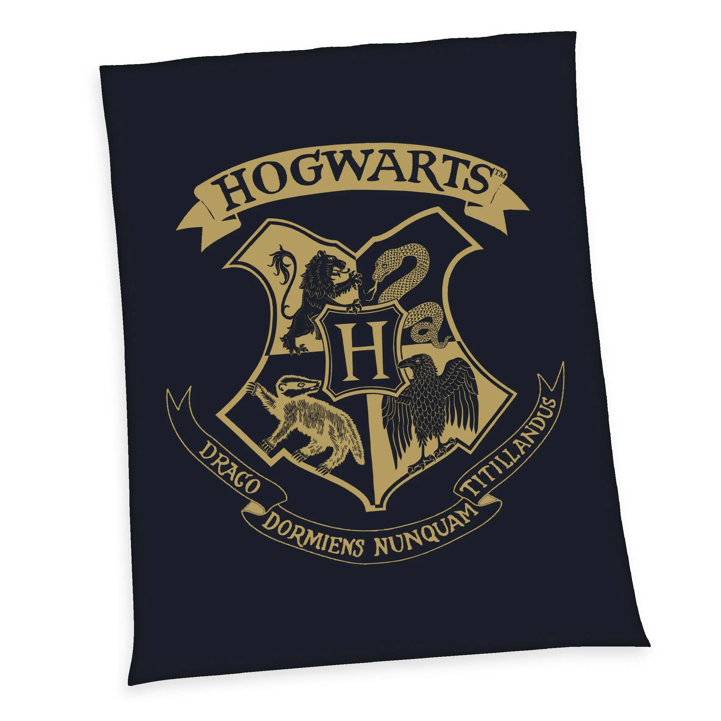 Harry Potter Fleecová deka Hogwarts 150 x 200 cm fotografii produktu