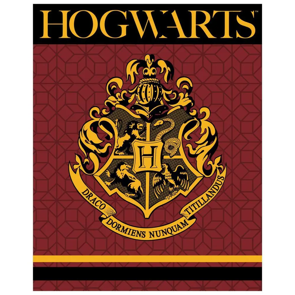 Harry Potter Hogwarts prémiová coral deka fotografii produktu