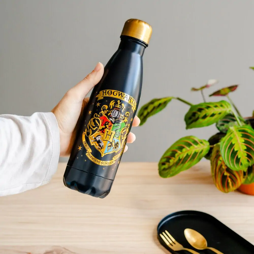 Harry Potter Hogwarts Nerezová láhev 500 ml fotografii produktu