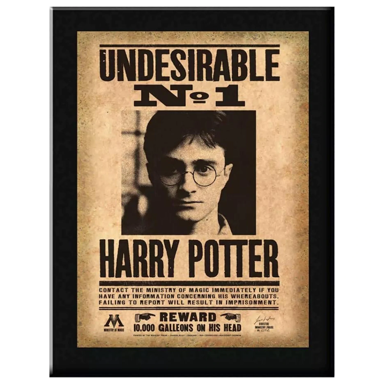 Harry Potter Indesirable N°1 Nástěnná plaketa fotografii produktu