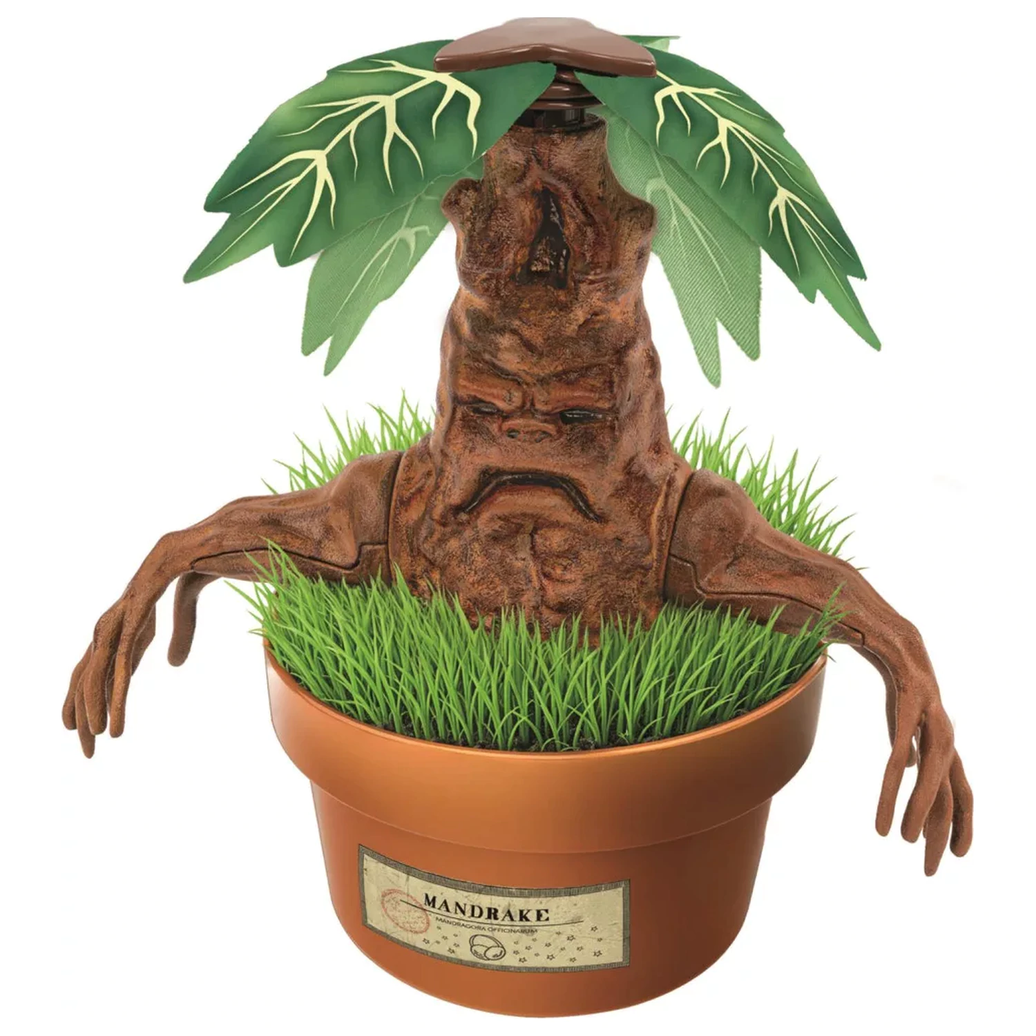 Harry Potter Mandrake modelovací sada fotografii produktu