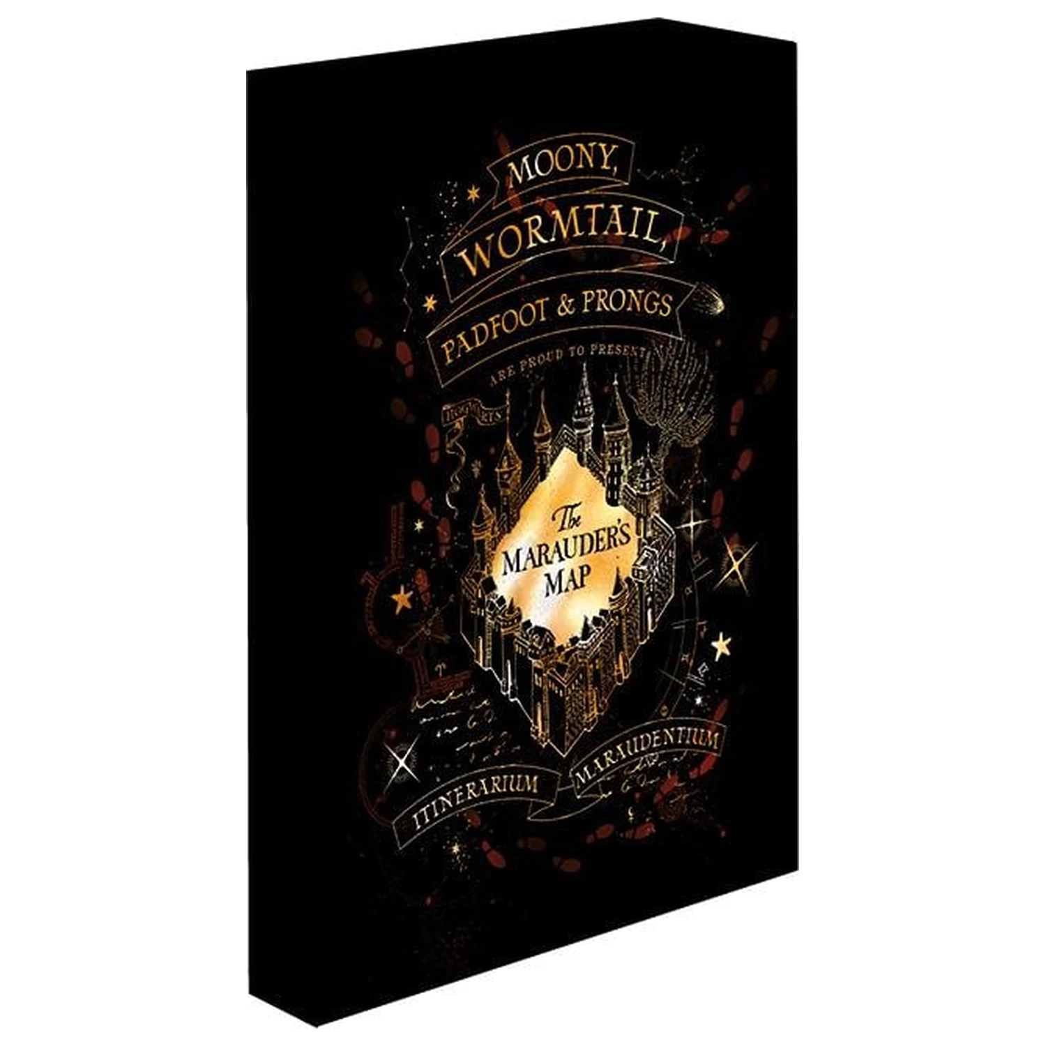Harry Potter Marauders Map Light plátno 40X30 cm fotografii produktu