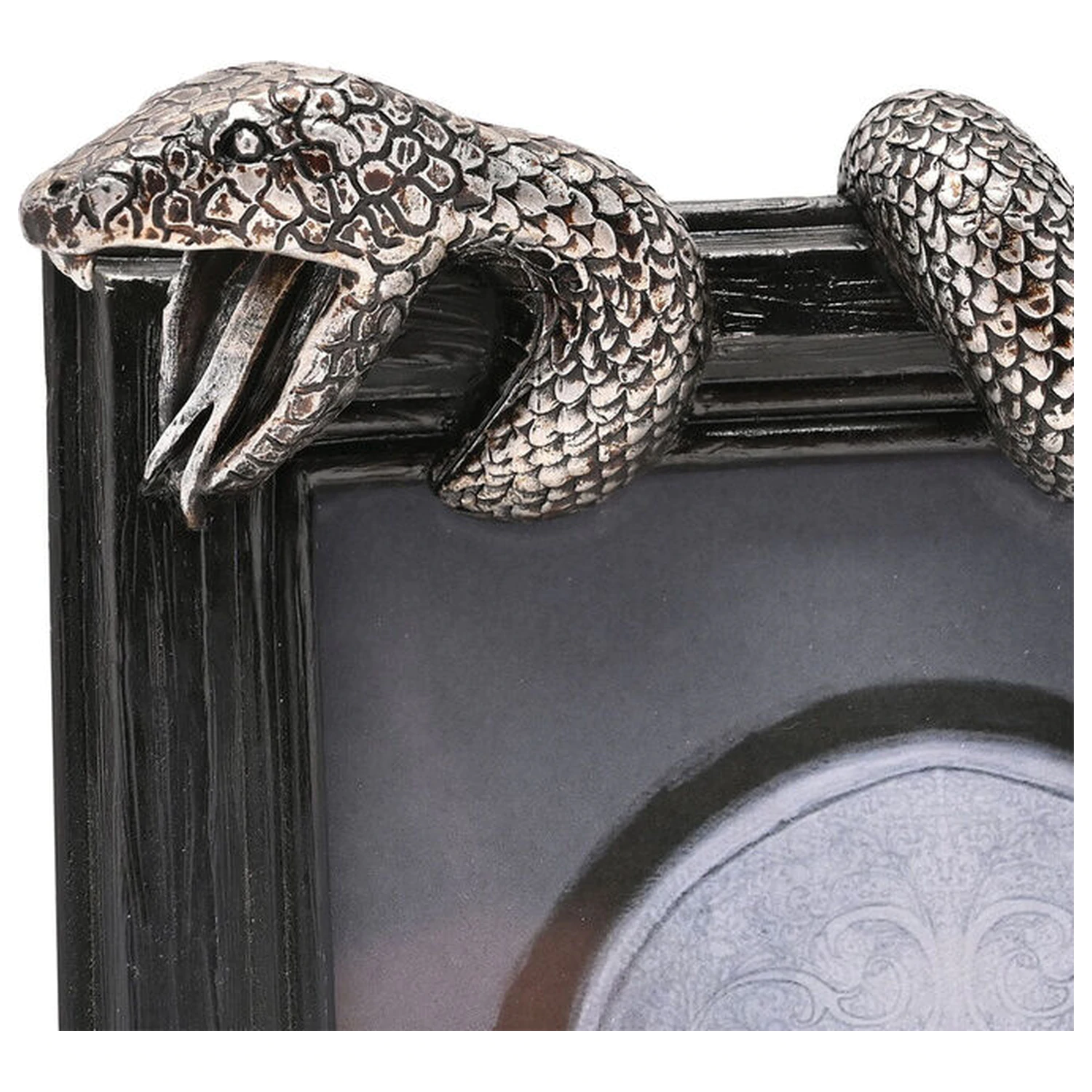 Harry Potter Nagini fotorámeček fotografii produktu