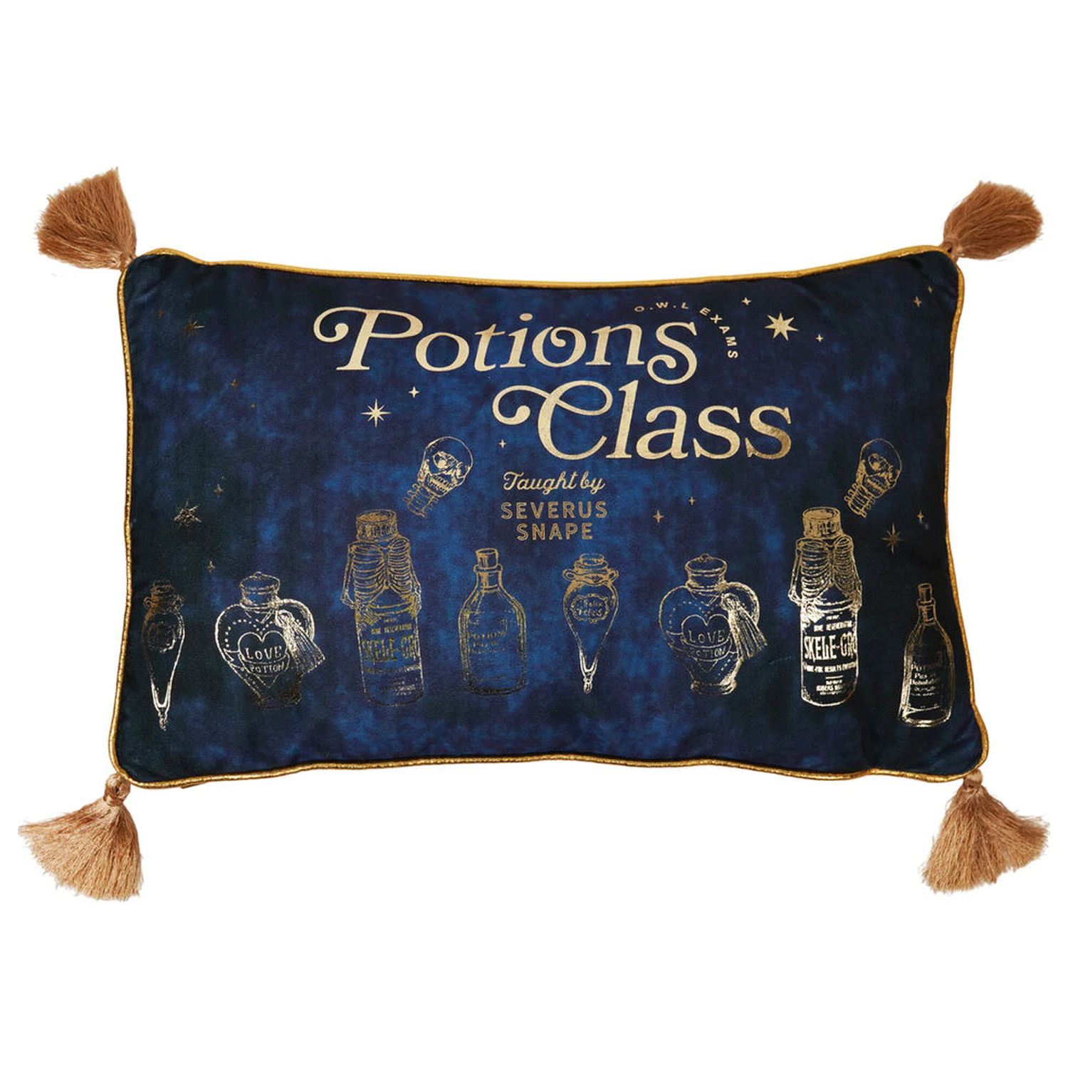Harry Potter Potions Class sametový polštář fotografii produktu