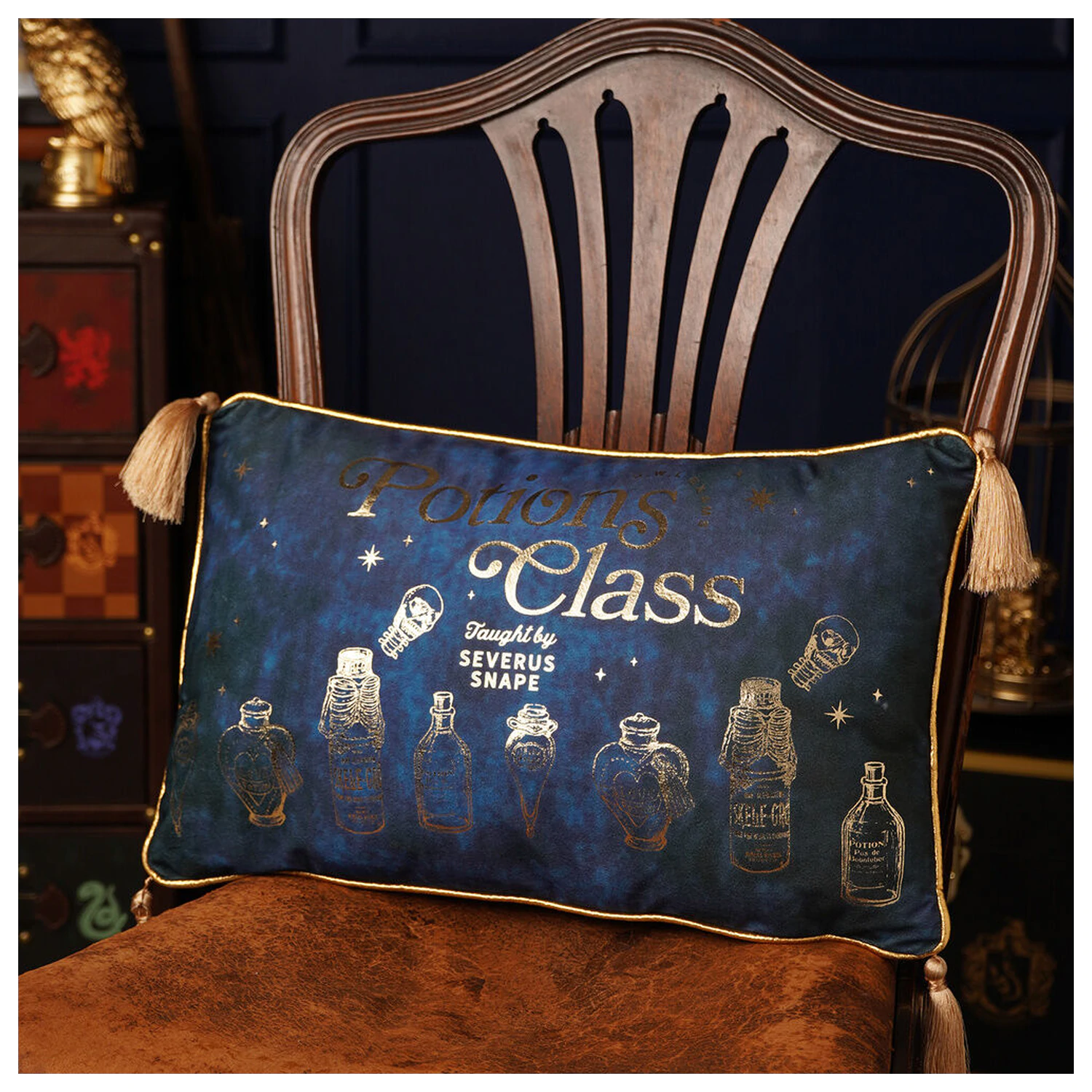 Harry Potter Potions Class sametový polštář fotografii produktu