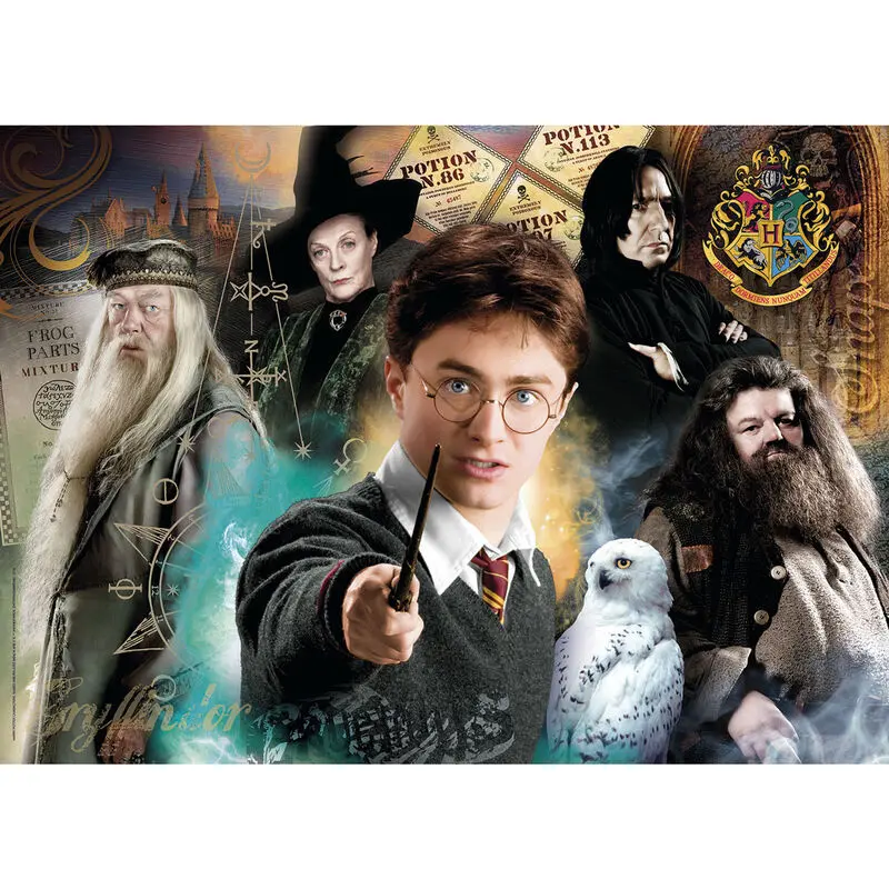 Harry Potter Jigsaw Puzzle Harry at Hogwarts (500 dílků) fotografii produktu