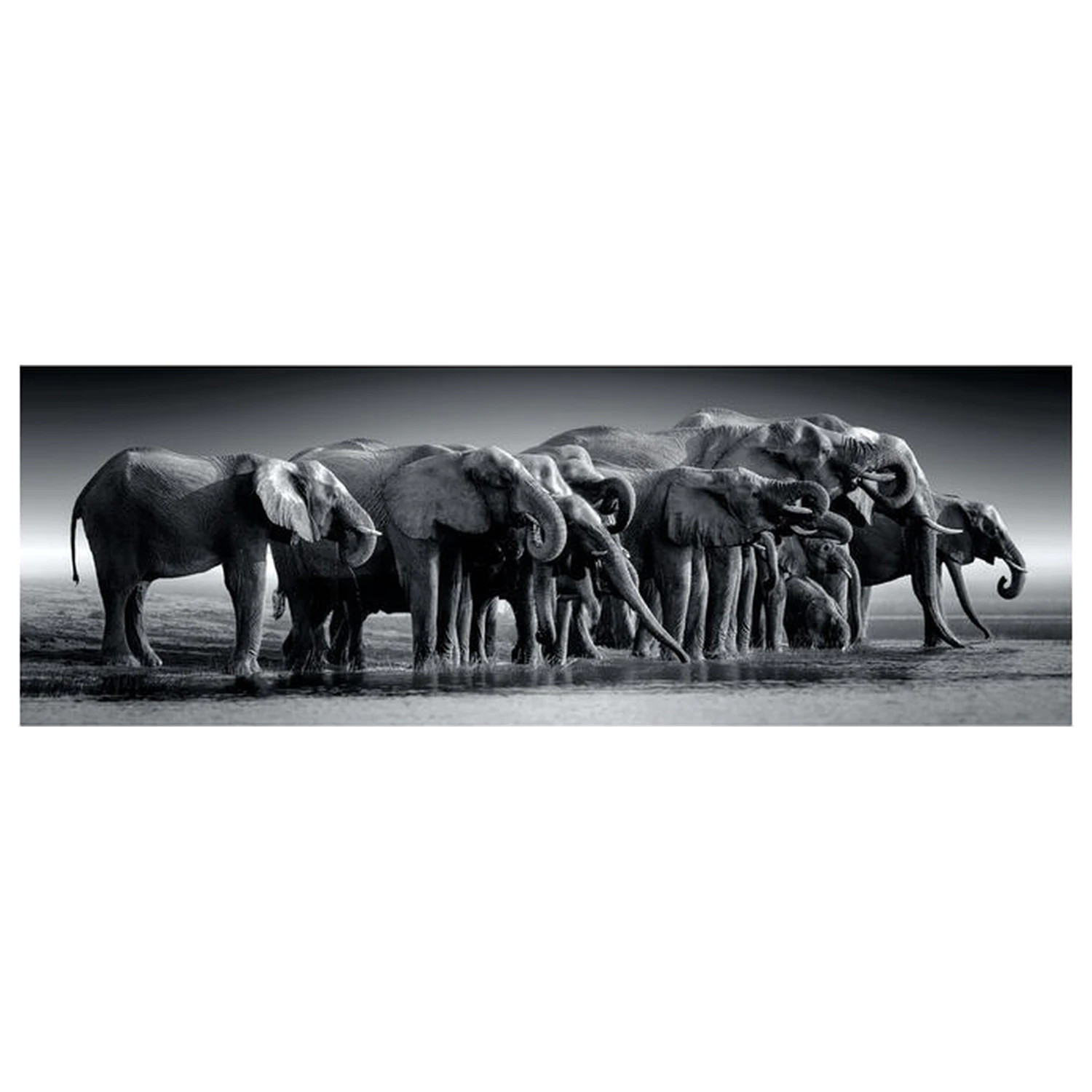 Herd of Giants Panorama puzzle 1000 dílků fotografii produktu