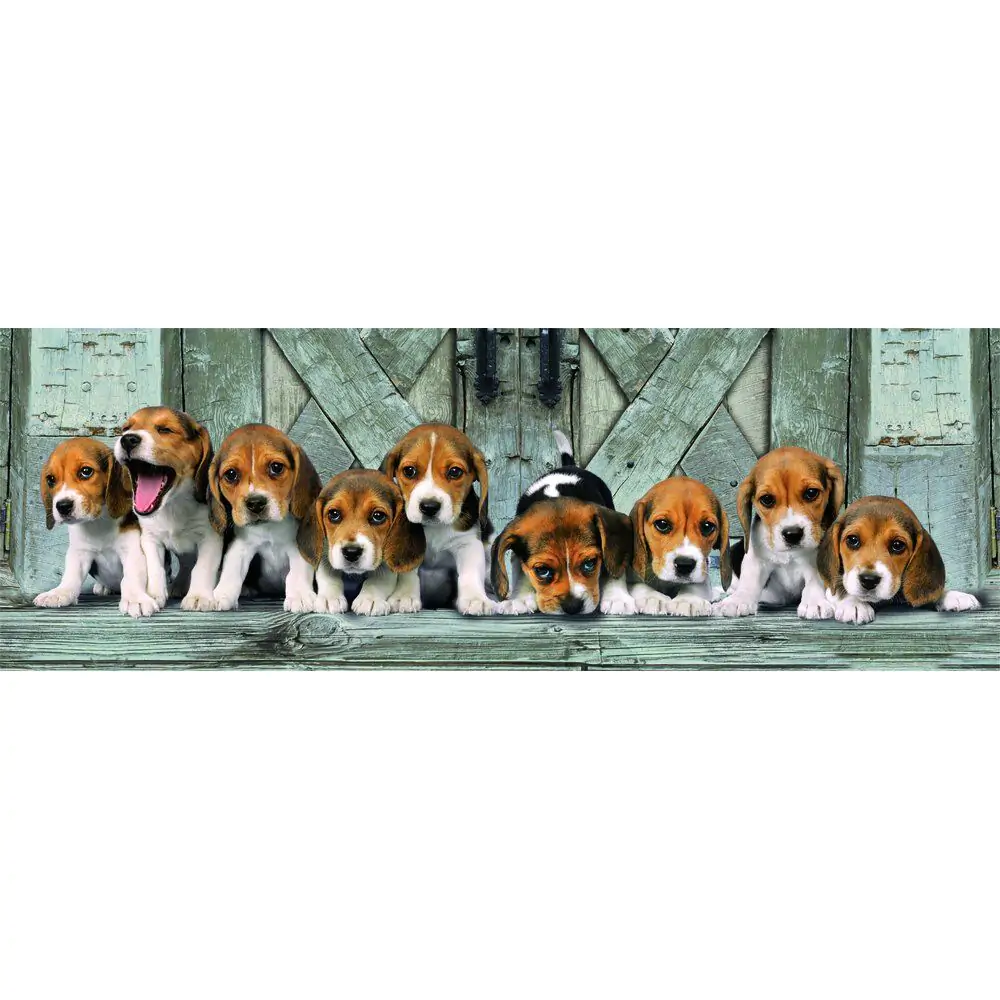 Vysoce kvalitní Beagles panoramatické puzzle 1000ks fotografii produktu