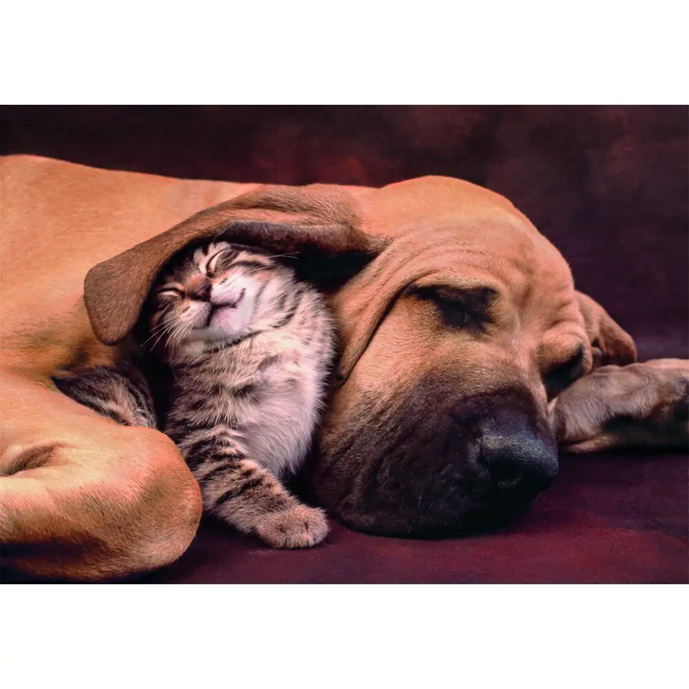 Puzzle High Quality Cuddles 500 dílků fotografii produktu