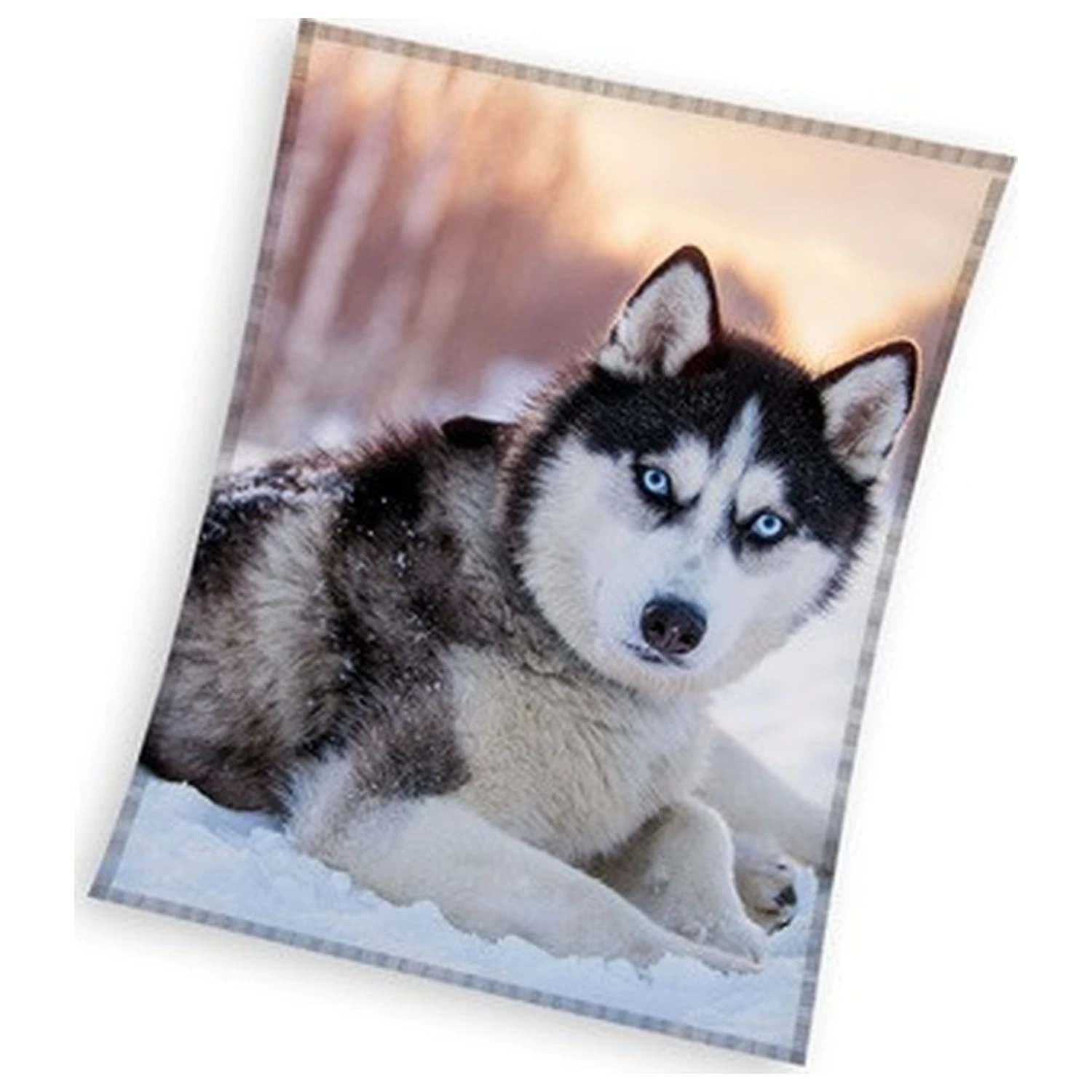 Husky fleecová deka fotografii produktu