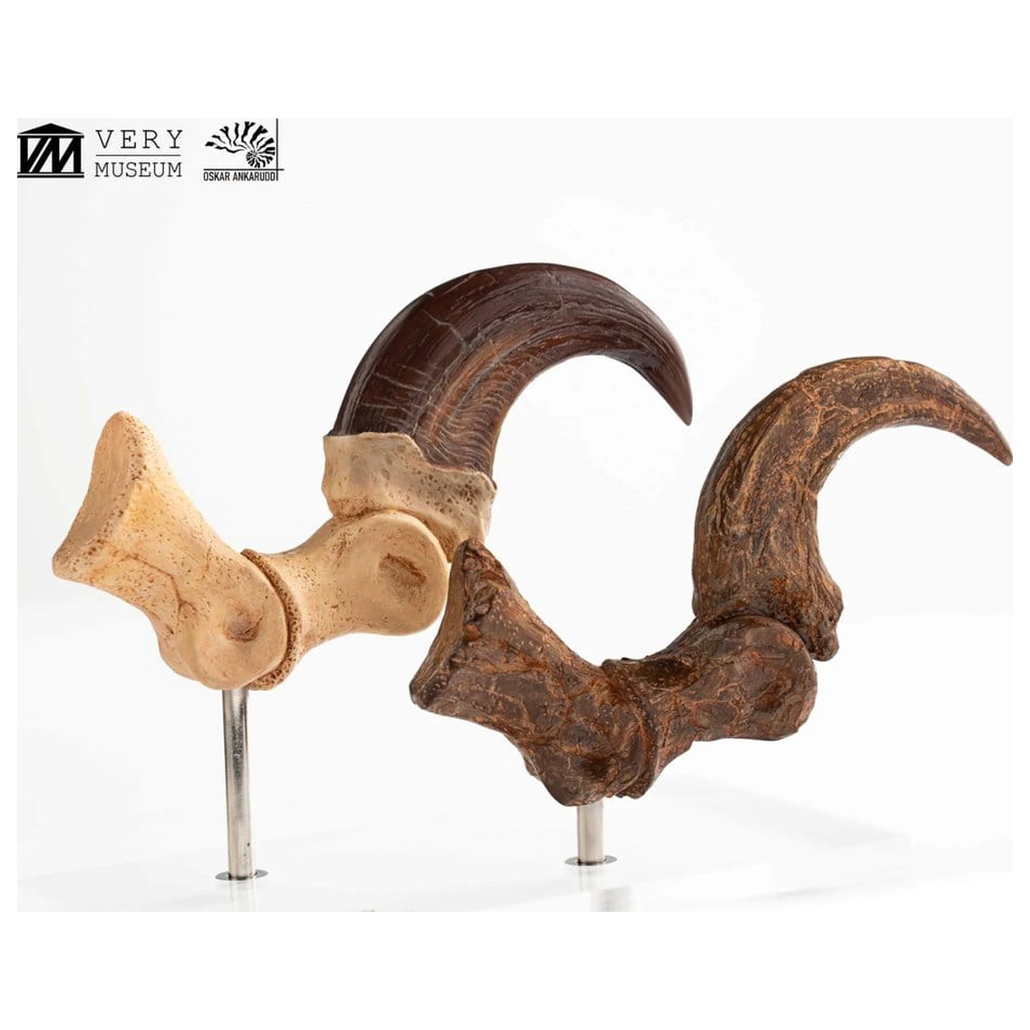 Jurassic Park ECC Elite Creature Line socha Velociraptor dráp na noze a sada fosilních drápů 20 cm fotografii produktu