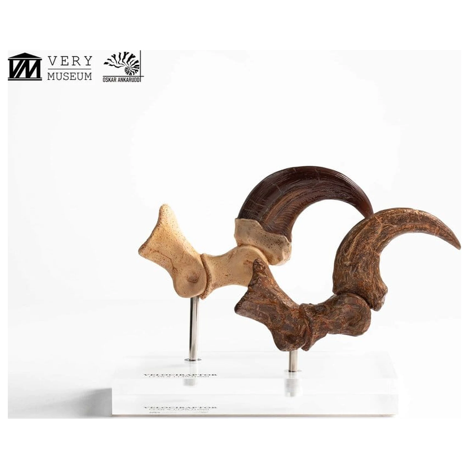 Jurassic Park ECC Elite Creature Line socha Velociraptor dráp na noze a sada fosilních drápů 20 cm fotografii produktu