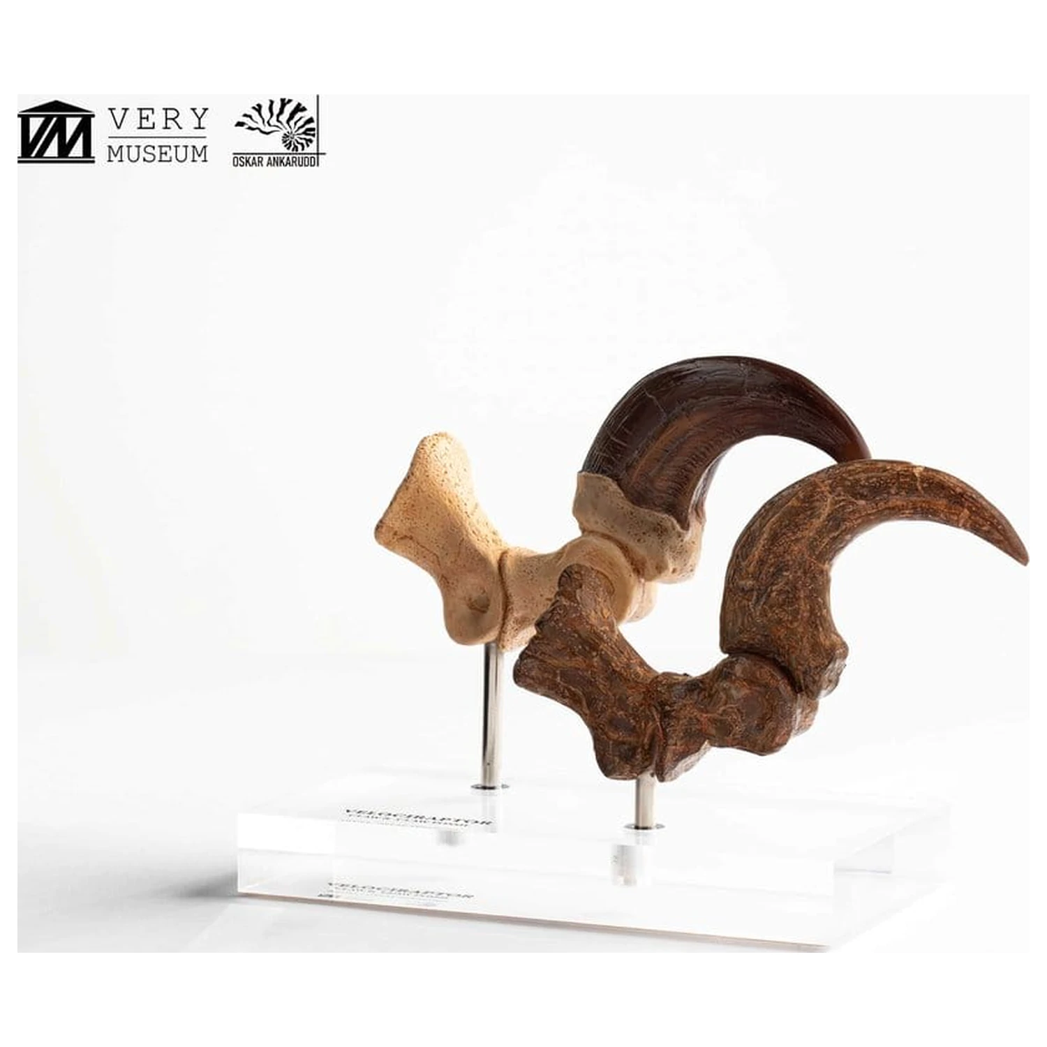 Jurassic Park ECC Elite Creature Line socha Velociraptor dráp na noze a sada fosilních drápů 20 cm fotografii produktu