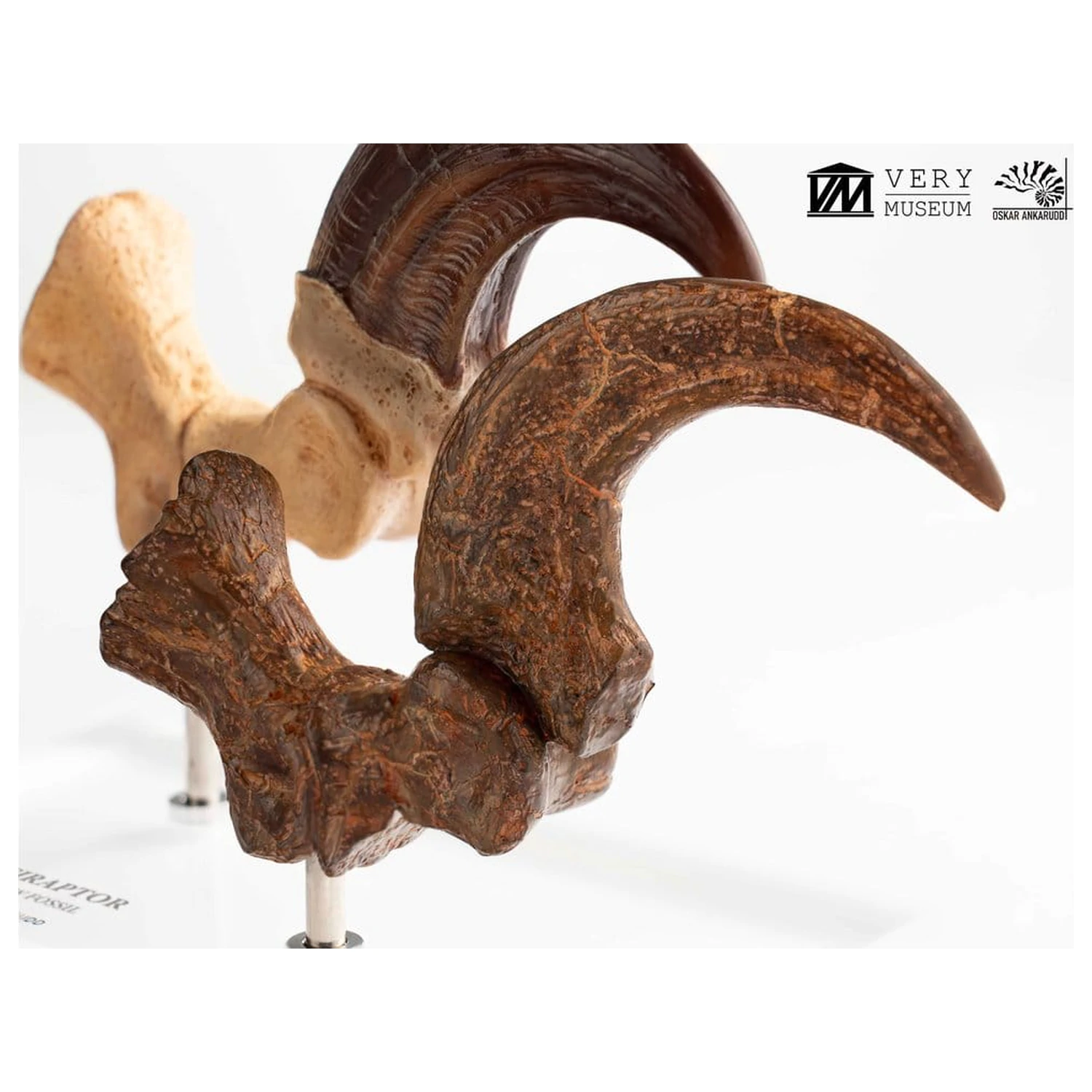 Jurassic Park ECC Elite Creature Line socha Velociraptor dráp na noze a sada fosilních drápů 20 cm fotografii produktu