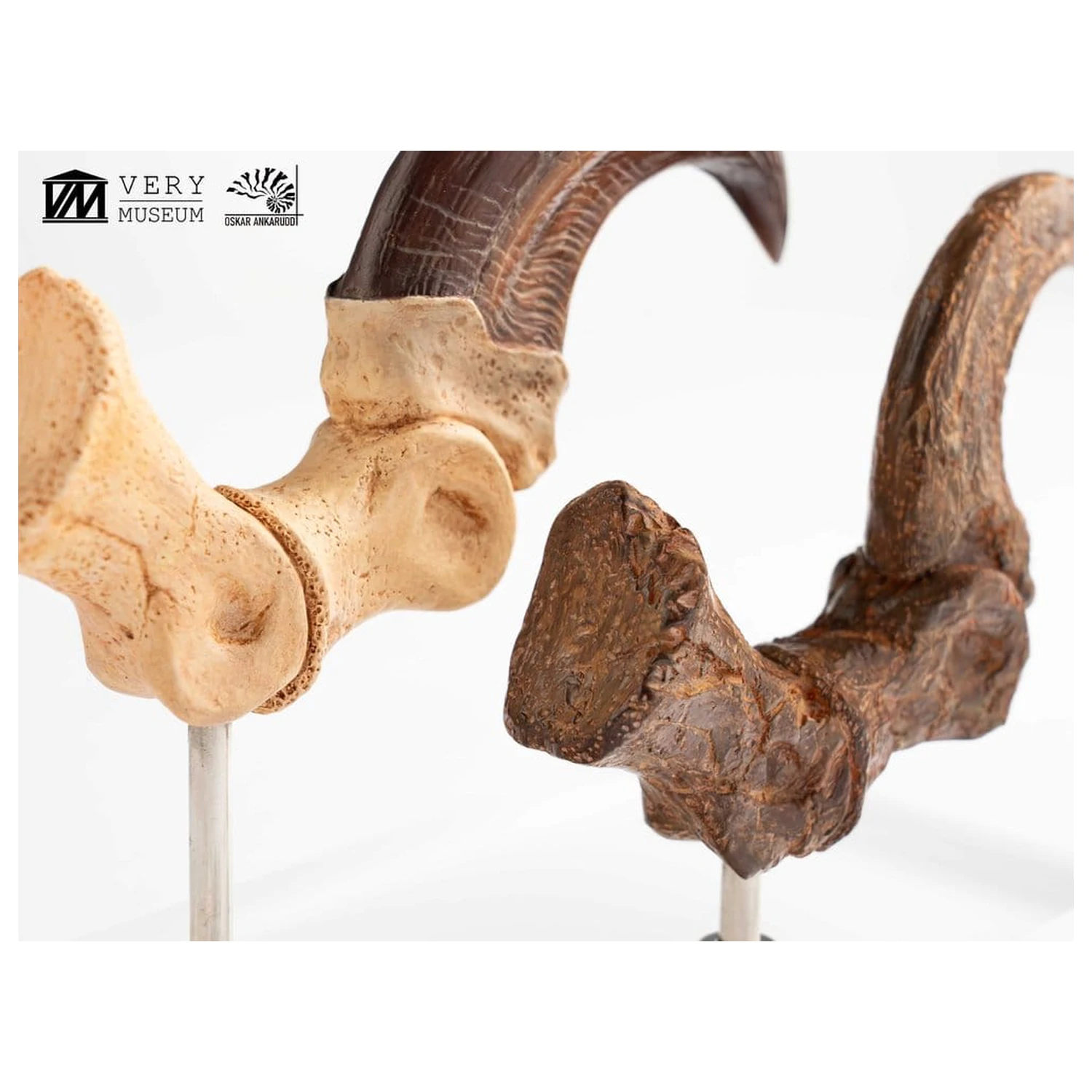 Jurassic Park ECC Elite Creature Line socha Velociraptor dráp na noze a sada fosilních drápů 20 cm fotografii produktu