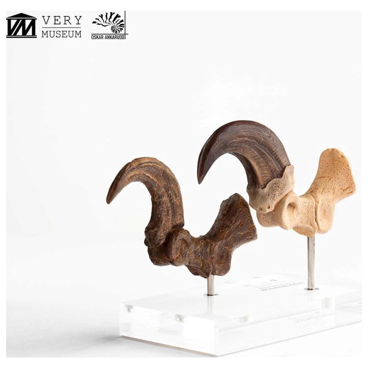 Jurassic Park ECC Elite Creature Line socha Velociraptor dráp na noze a sada fosilních drápů 20 cm fotografii produktu