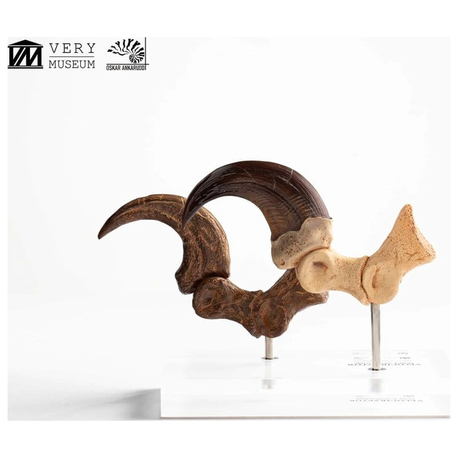 Jurassic Park ECC Elite Creature Line socha Velociraptor dráp na noze a sada fosilních drápů 20 cm fotografii produktu