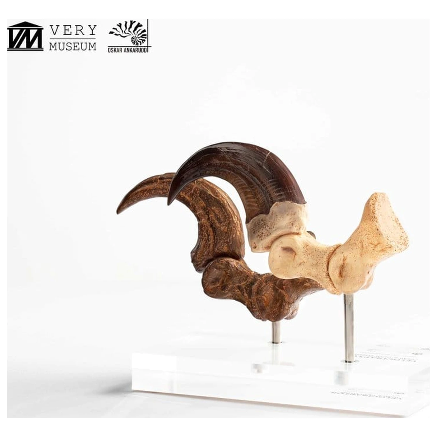 Jurassic Park ECC Elite Creature Line socha Velociraptor dráp na noze a sada fosilních drápů 20 cm fotografii produktu