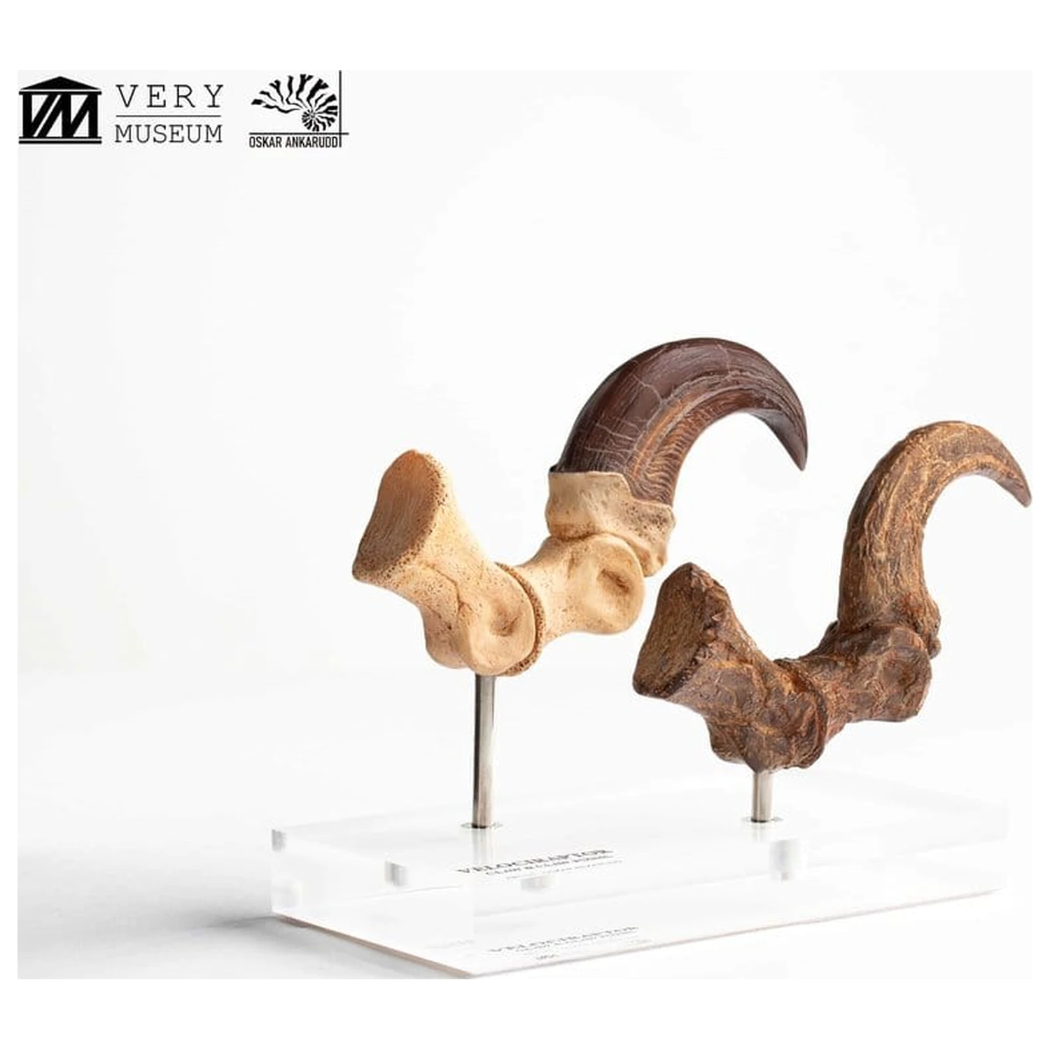 Jurassic Park ECC Elite Creature Line socha Velociraptor dráp na noze a sada fosilních drápů 20 cm fotografii produktu