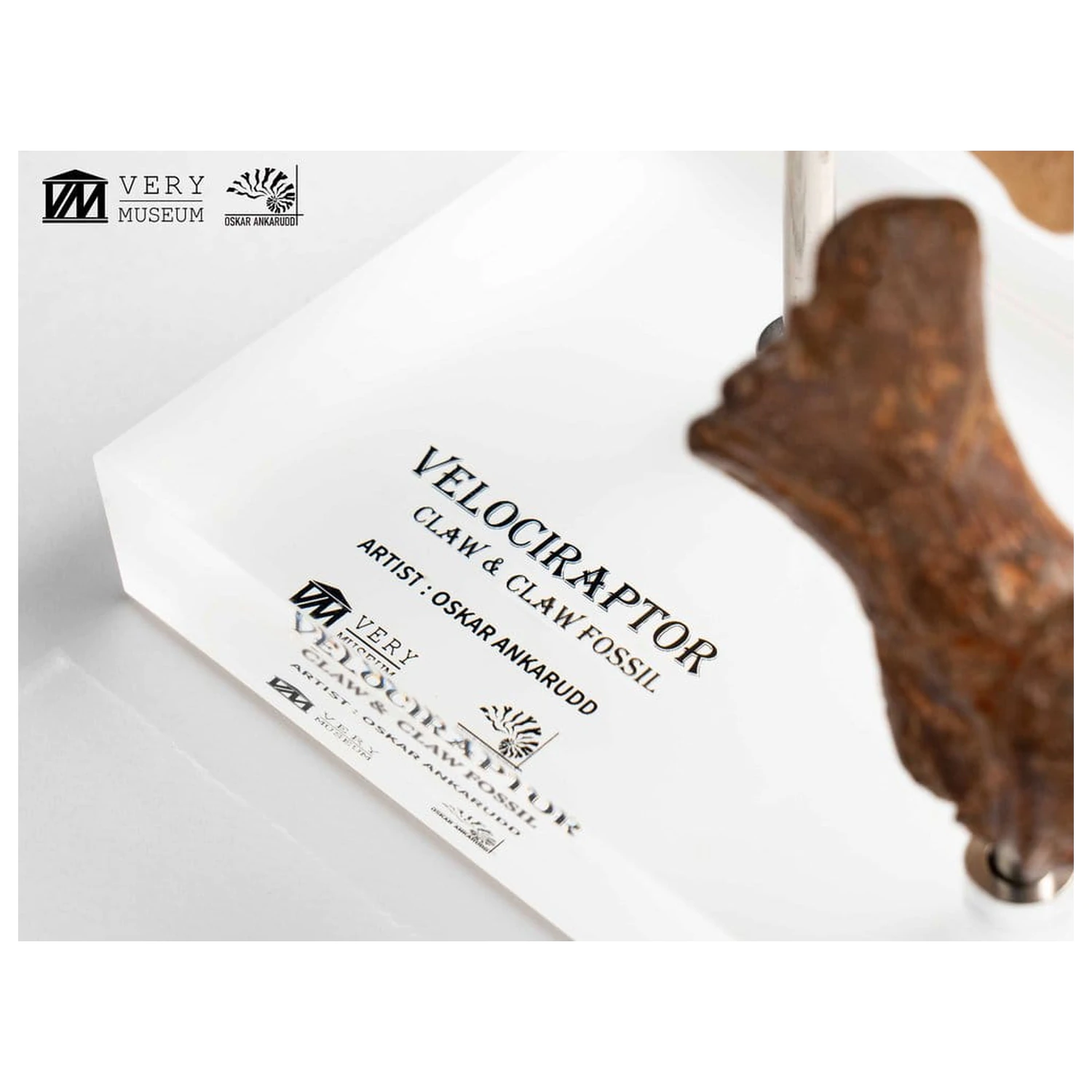 Jurassic Park ECC Elite Creature Line socha Velociraptor dráp na noze a sada fosilních drápů 20 cm fotografii produktu