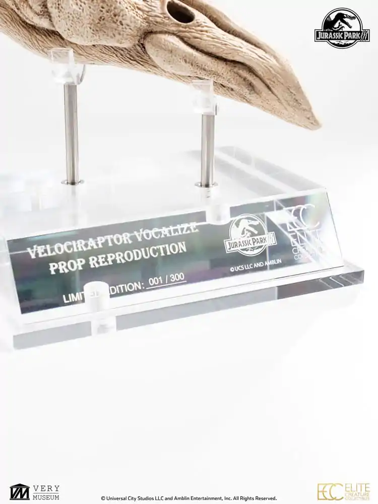 Jurassic Park III Prop Replica 1/1 Velociraptor rezonanční komora 18 cm fotografii produktu