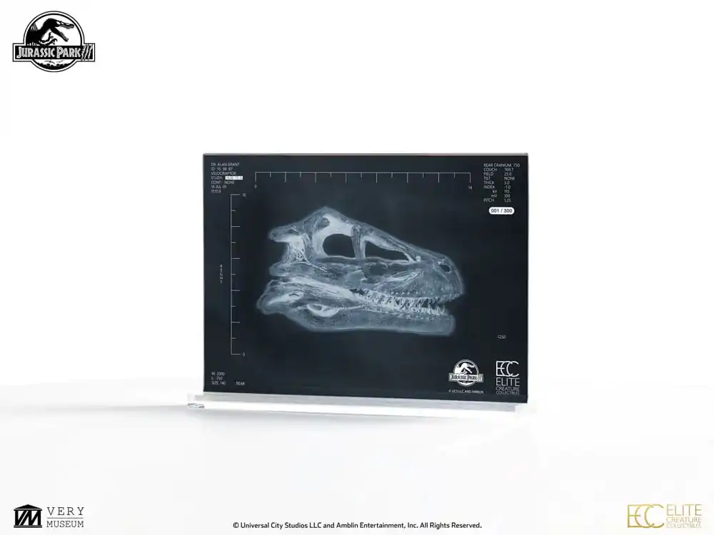 Jurassic Park III Prop Replica 1/1 Velociraptor rezonanční komora 18 cm fotografii produktu