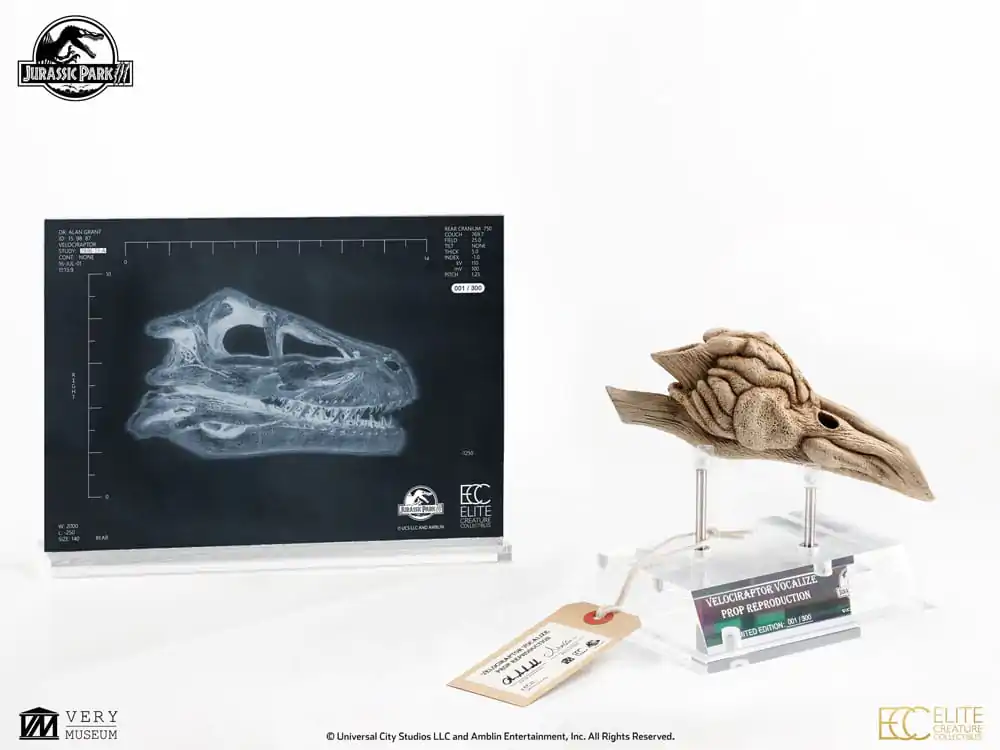 Jurassic Park III Prop Replica 1/1 Velociraptor rezonanční komora 18 cm fotografii produktu
