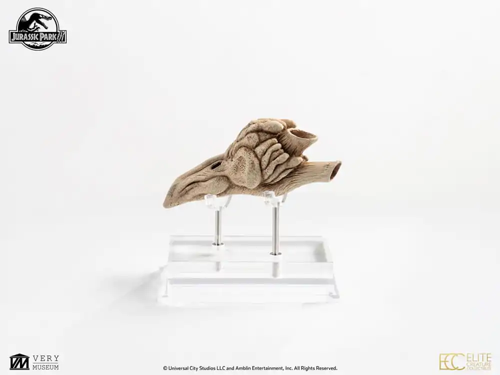 Jurassic Park III Prop Replica 1/1 Velociraptor rezonanční komora 18 cm fotografii produktu