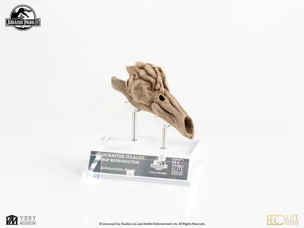 Jurassic Park III Prop Replica 1/1 Velociraptor rezonanční komora 18 cm fotografii produktu