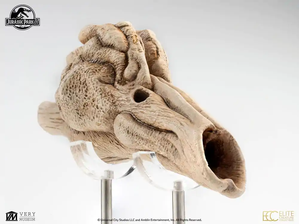Jurassic Park III Prop Replica 1/1 Velociraptor rezonanční komora 18 cm fotografii produktu