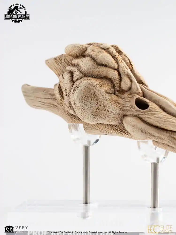 Jurassic Park III Prop Replica 1/1 Velociraptor rezonanční komora 18 cm fotografii produktu