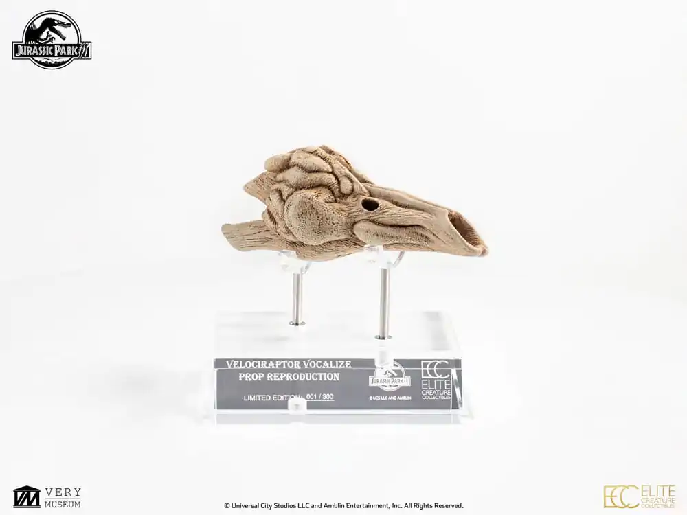 Jurassic Park III Prop Replica 1/1 Velociraptor rezonanční komora 18 cm fotografii produktu